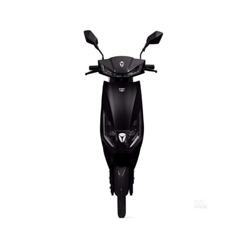 雅迪 T-锐诺E-C电摩版 新国标智能电动自行车[订制品不零售]