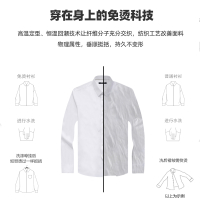 Youngor/雅戈尔官方正品男士夏季商务正装纯棉面料短袖衬衫多色可选