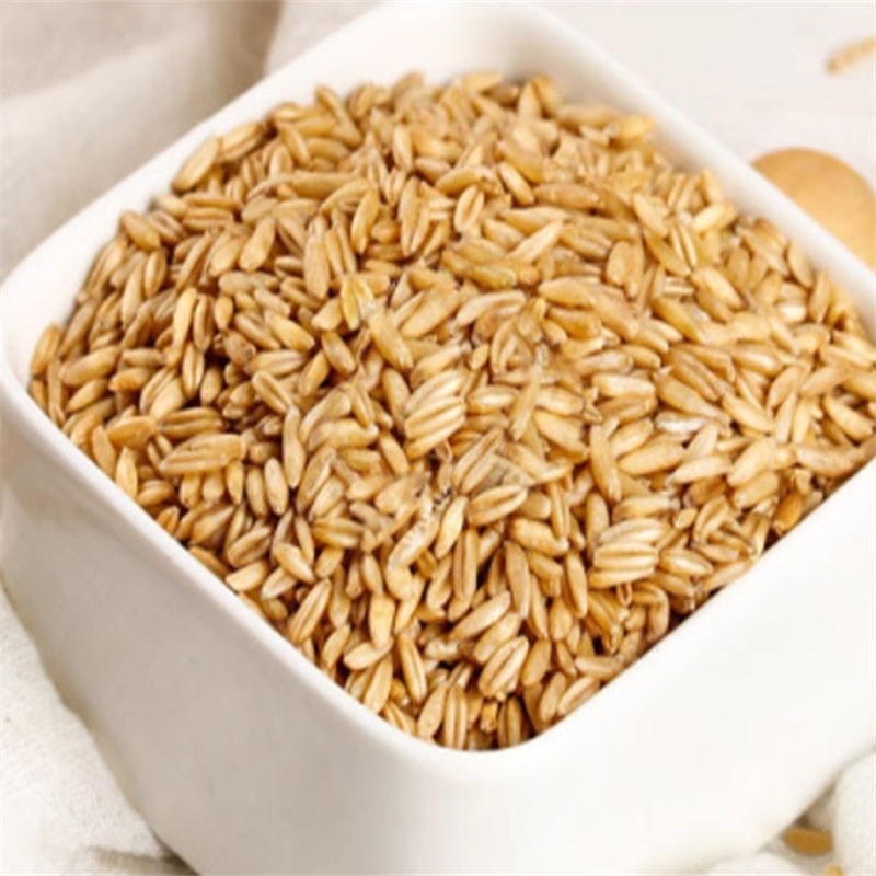 新货燕麦250克袋装米农家自种今年燕麦米燕麦仁全胚芽五谷杂粮营养高清大图