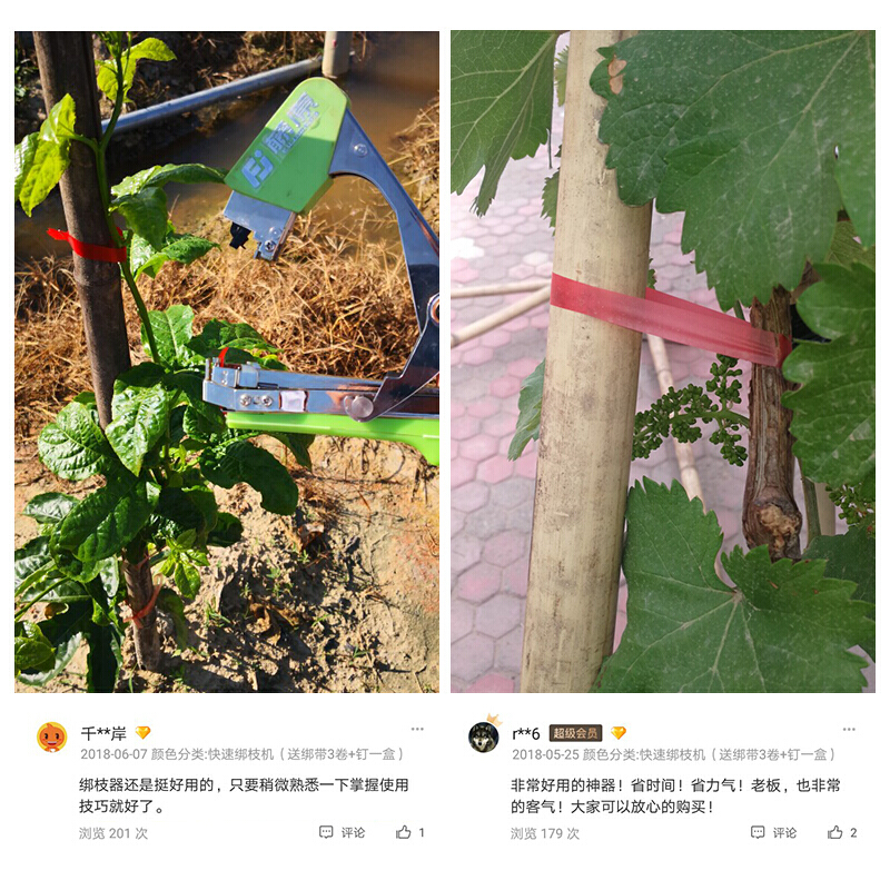 美帮汇绑枝机固定胶带捆绑机西红柿瓜葡萄树苗绑蔓器扎条捆枝机高清大图