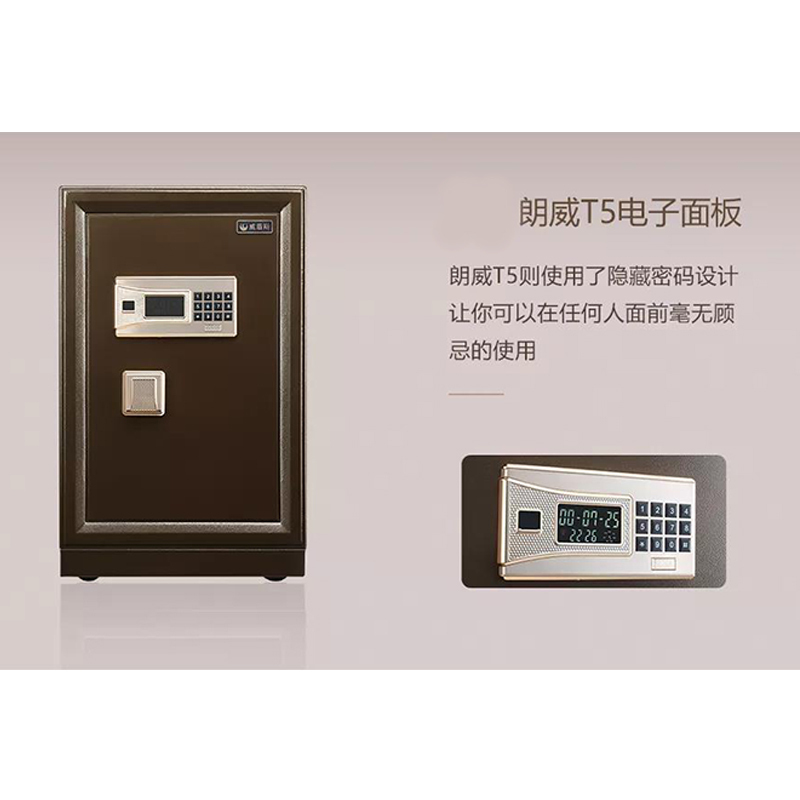 威盾斯(WEIDUNSI) 朗威系列II BGX-5/D1-100T5 保管箱(七包服务)