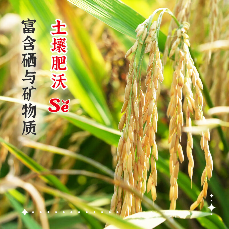 陇间柒月柒月富硒-大米5kg高清大图