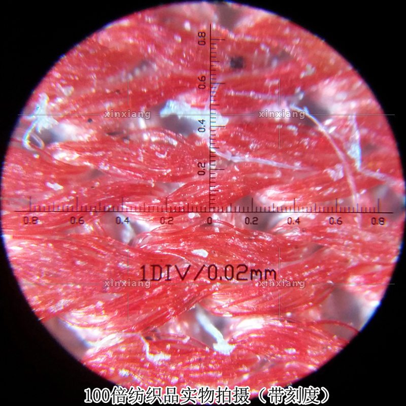 100倍LED灯光放大镜 带刻度读数显微镜印刷网点珠宝玉器古董鉴定