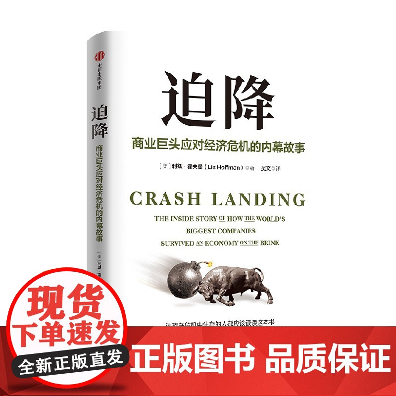 迫降 商业巨头应对经济危机的内幕故事 利兹 霍夫曼著 渴望在危机中生存的人都应该读读这本书 中信出版社图书 正版高清大图
