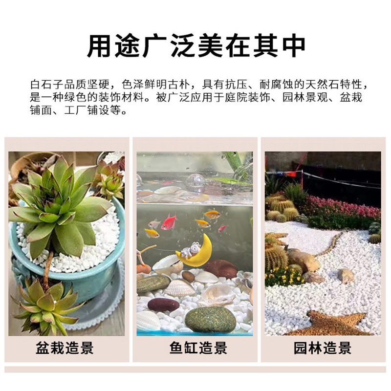 琰玥 白色鹅卵石 50斤/袋 白石子3-5cm 景观铺地造景天然原石经久抗风化高清大图