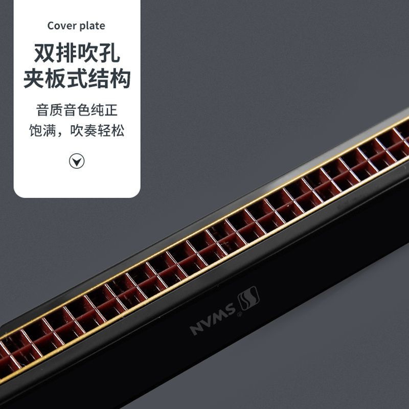 天鹅口琴初学者小学生24孔复音c调儿童入门专用风正品28男士乐器