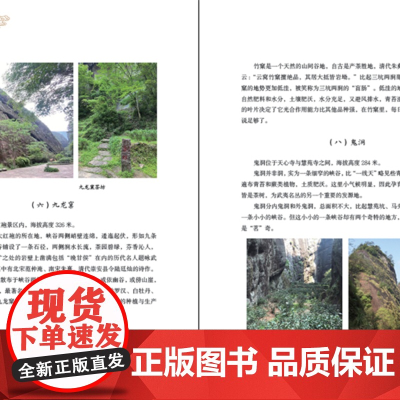 [店]悦品岩茶 岩茶、大红袍、品鉴 新手入门高清大图