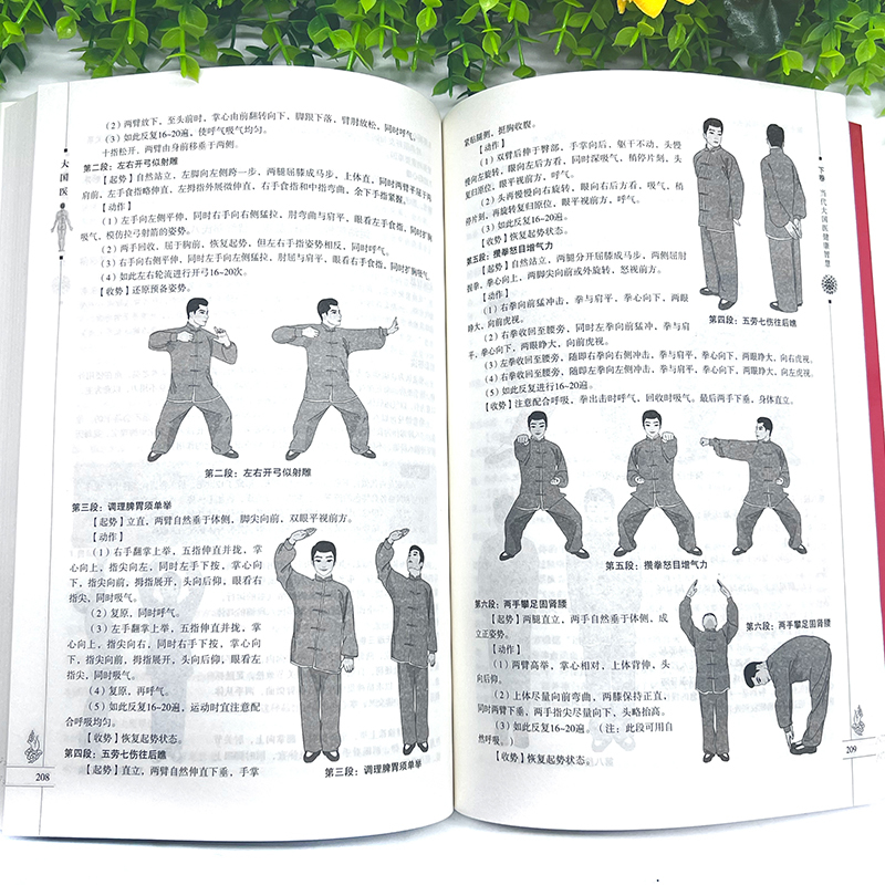 [正版]大厚本插图版 大国医大全集 古代大国医与当代大国医 国医健康医学 中医保养保健 白话文内科学中医基础理论偏方验