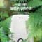 格力(GREE) 抽湿机/除湿机 家用卧室办公室低噪干衣除湿器12升/天 适用面积20平方米以内卧室 DH12EA