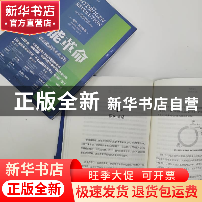 正版 氢能革命:清洁能源的未来蓝图:a blueprint for the future高清大图