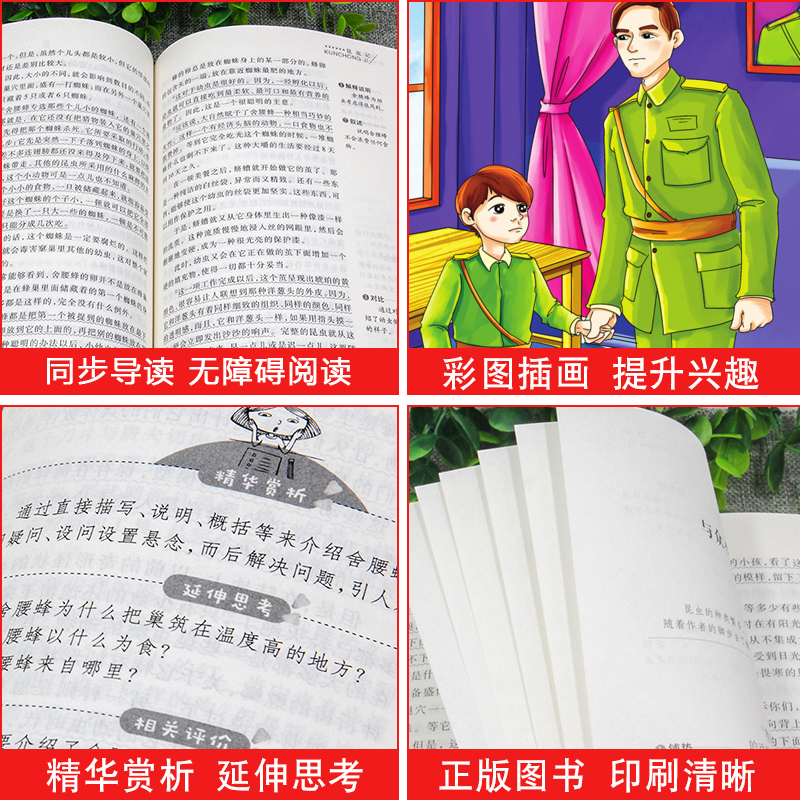 从百草园到三味书屋 [正版]小桔灯 冰心儿童文学全集经典作品小学生散文读本三年级四年级五六上册下册课外书必读散文集小学4高清大图