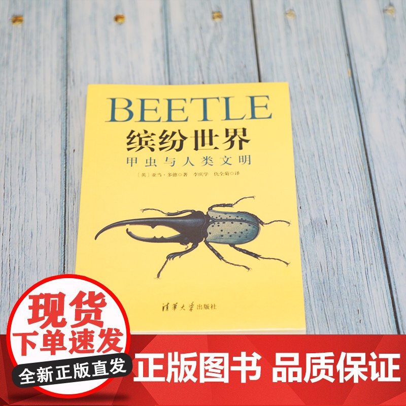 缤纷世界:甲虫与人类文明 人类故事 清华大学出版社 正版书籍高清大图