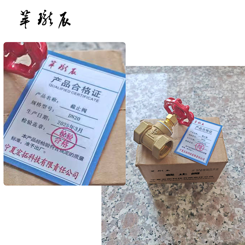 萃珑辰 截止阀 DN20 个高清大图