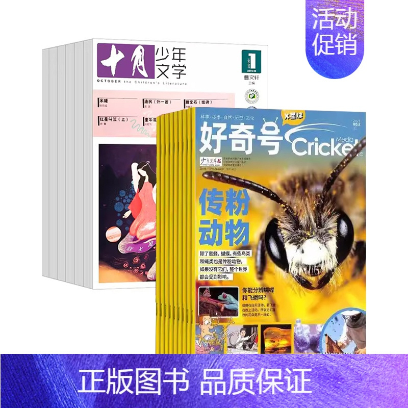 十月少年+好奇号 24年2月-25年1月 [正版]十月少年文学2024年刊订阅12期8-15岁儿童期刊杂志课外阅读曹文轩
