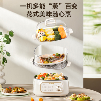 苏泊尔(SUPOR)电蒸锅 炖蒸煮一体 电煮锅 电火锅 家用多功能蒸包子锅 可定时电热锅 多用途锅 ZN23FK1568
