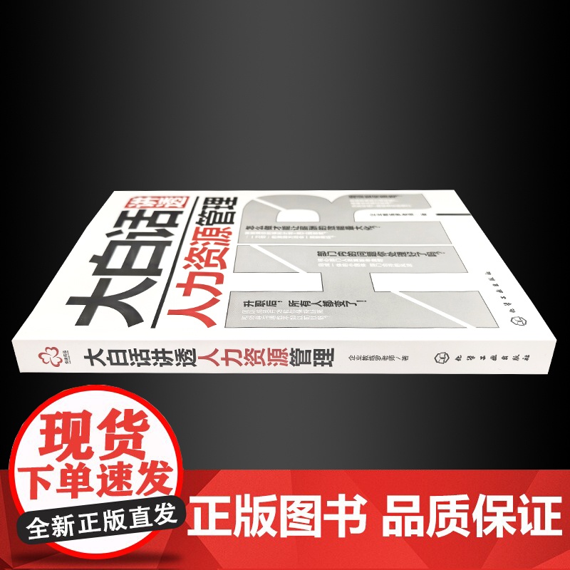 正版 大白话讲透人力资源管理 HR进阶公司管理人员职场指南 HR工作日常解答手册 人力资源管理工作问题绩效薪资解决方案指高清大图