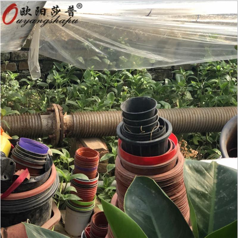 欧阳莎普(Ouyangshapu) 钢制高频焊翅片绕翅绕管 外径32无缝3.0mm