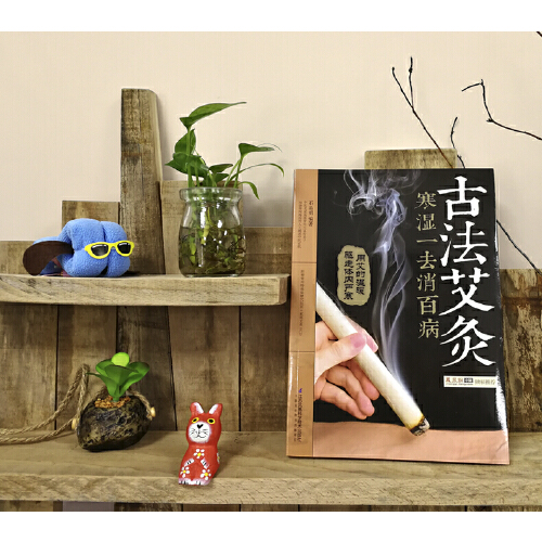 [醉染正版]古法艾灸寒湿一去消百病 家庭中医生保健养生 自制艾条艾柱风寒月子病常见病症对症穴位艾灸针灸按摩刮痧拔罐推拿方高清大图