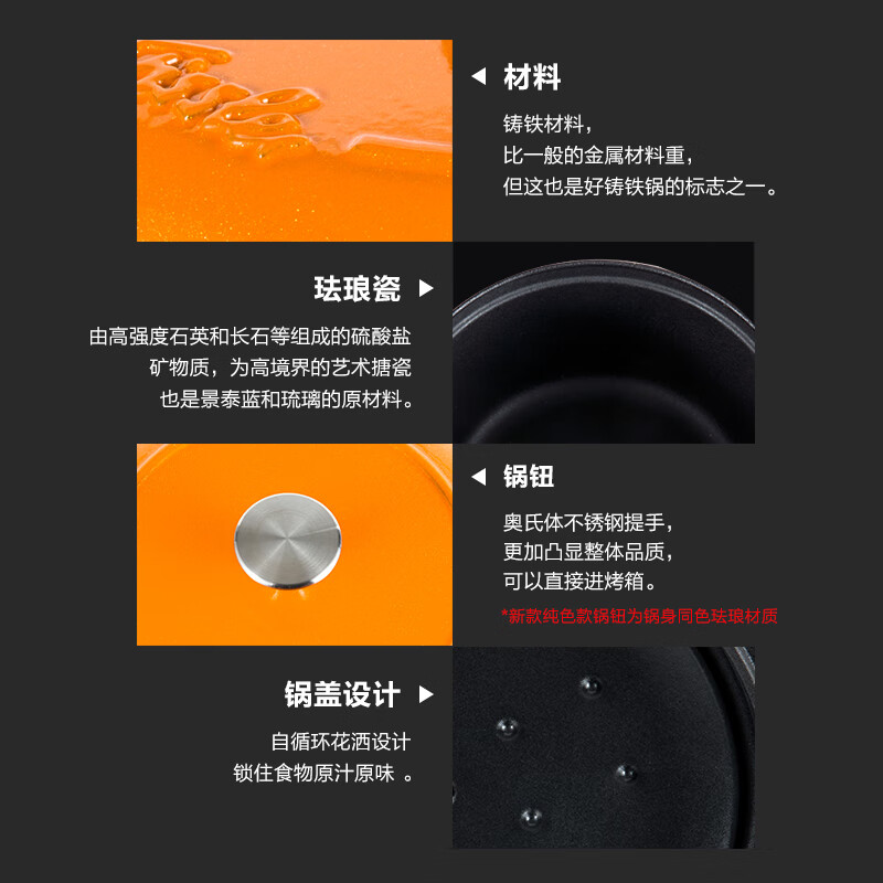 Fissler菲仕乐食色系列24厘米铸铁锅EMP-C242N002R高清大图