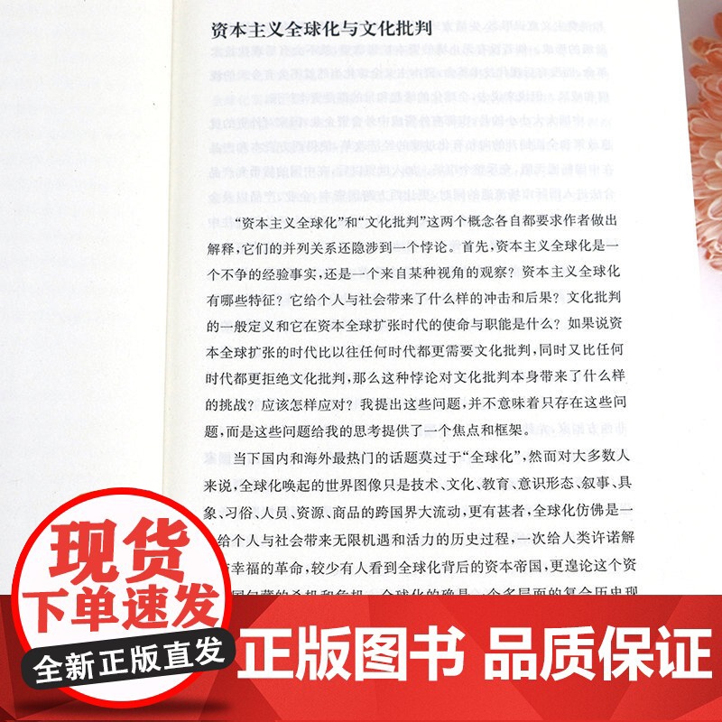[4本39]另类立场:文化批判与批判文化 谢少波著文化研究访谈录现代性反思书籍高清大图
