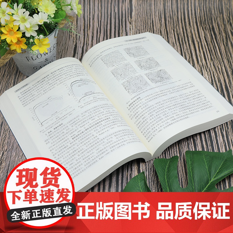 清华正版 高等土力学原理 赵成刚,刘艳,李舰,尹振宇,蔡国庆 清华大学出版社 土力学-高等学校-教材高清大图