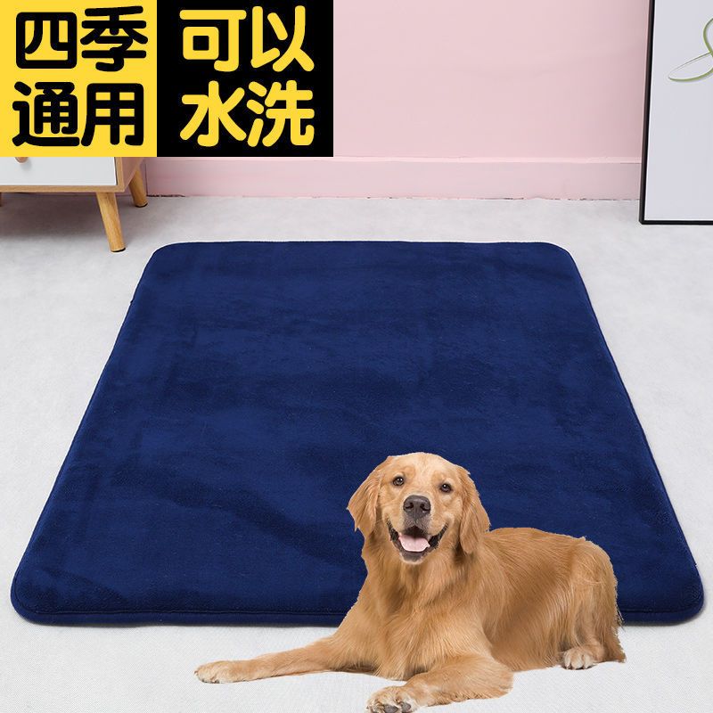 绿色珊瑚绒80*50 厚1cm 猫狗通用 狗垫子金毛拉布拉多夏季狗窝夏天宠物床笼睡垫大型犬凉席四季通用