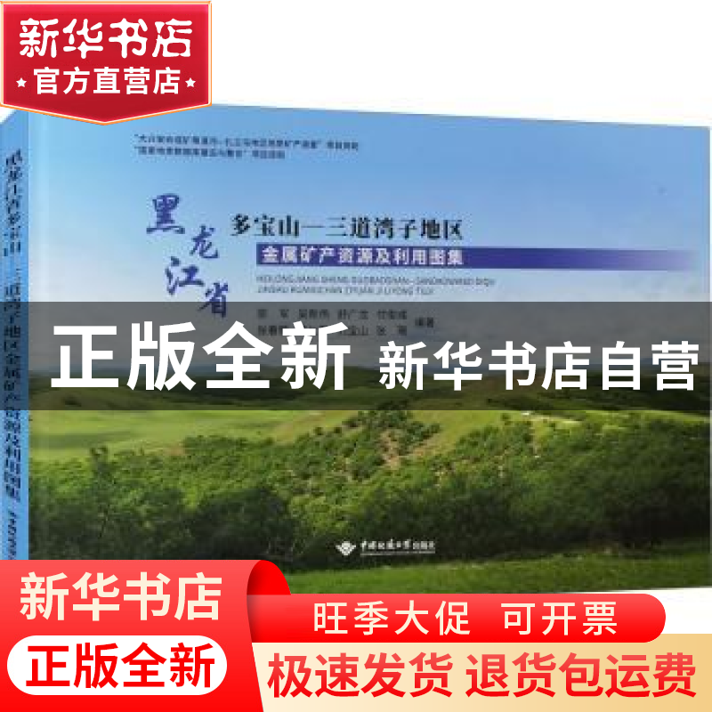 正版 黑龙江省多宝山—三道湾子地区金属矿产资源及利用图集 邵军高清大图