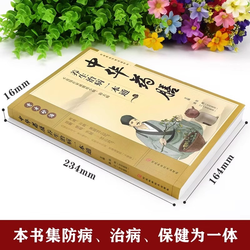 [正版]全3册中华药膳百病食疗土单方汤膳养生治病一本通大全彩图解中医养生大全食谱调理四季家庭营养健康保健饮食养生菜谱食品