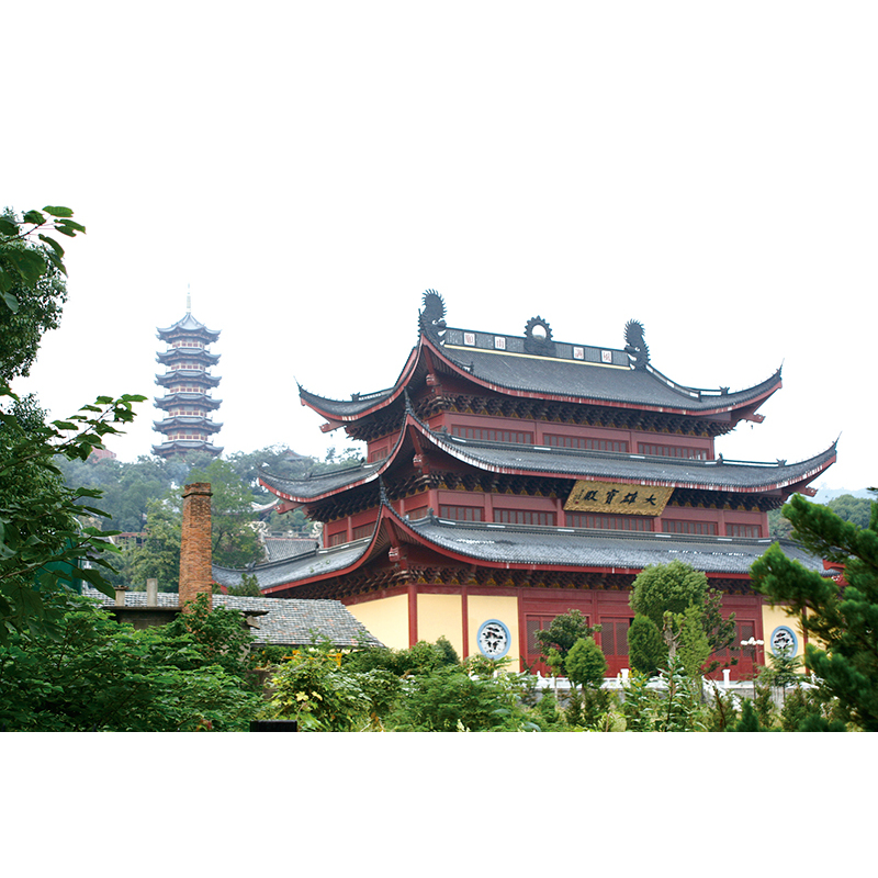 [正版] 建筑 国粹图典 中国传统建筑历史发展过程 建筑形态古建筑知识 中国传统文化*实物图片古画手绘图解读文化生