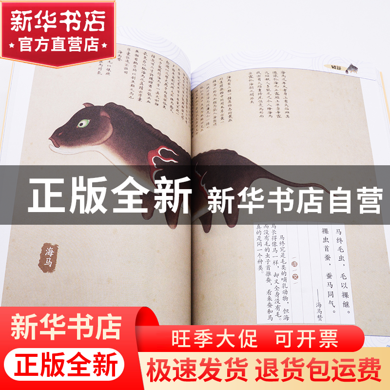 正版 画给孩子的海错图(彩色插图本) 李超 编著 龙小爹,酒九绘高清大图