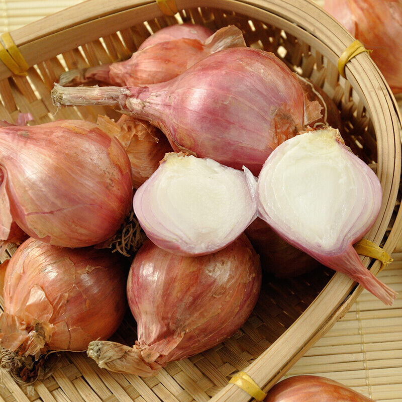 博多客东北小毛葱毛葱头珠葱小圆葱红葱头新鲜蔬菜