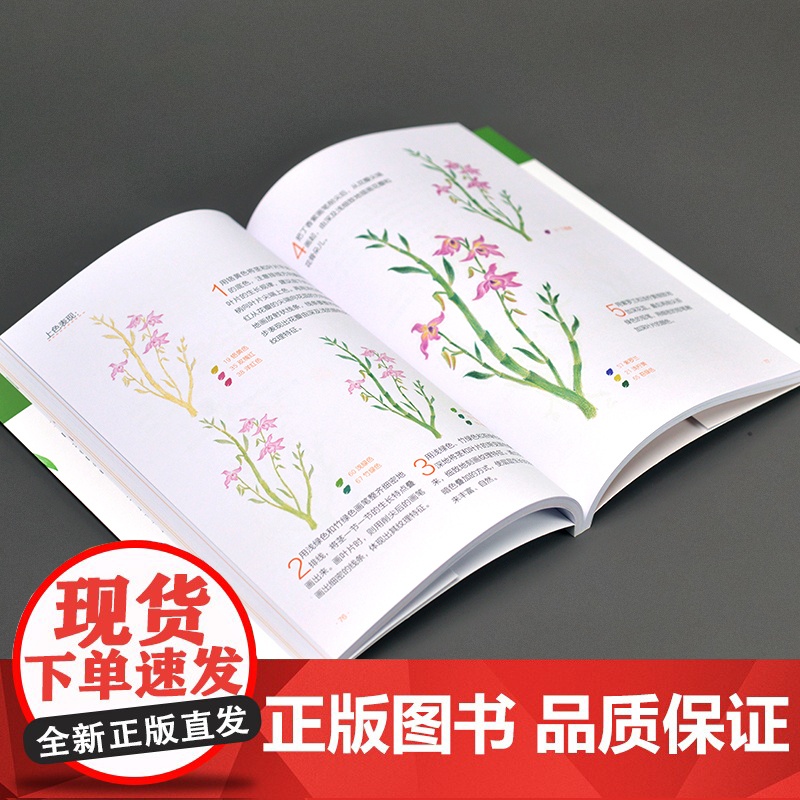 色铅笔手绘入门 古诗词植物绘高清大图