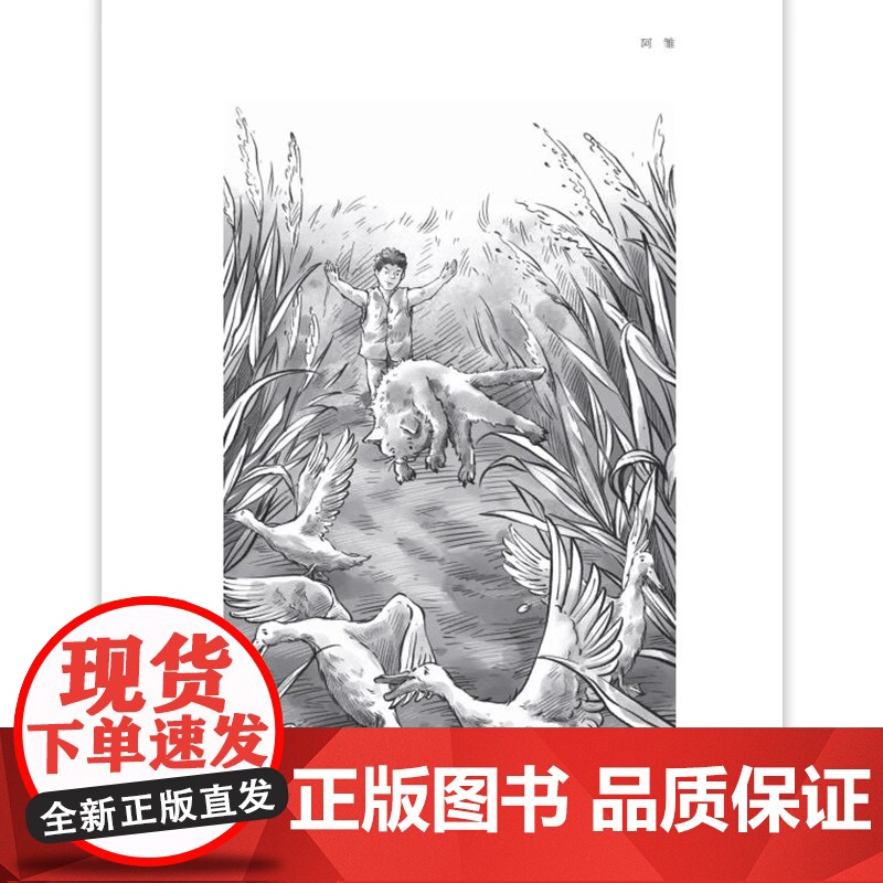 儿童文学双峰优选孤独的阿雏 曹儿童文学作家联袂对亲情友情生命成长等进行探讨在比较阅读中让孩子获得心灵成长和生命力量fbz高清大图