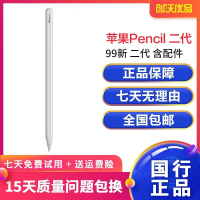 [二手99新]苹果/Apple pencil 二代 手写笔用于 Pro和2018新iPad pencil二代-含配