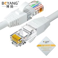 博扬 六类网络跳线 非屏蔽千兆成品网线 (24AWG)无氧铜 白色 12米 BY-612WH 条