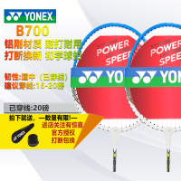 尤尼克斯YONEX羽毛球拍控球型 B700 业余初级初学训练款组合套装 已穿线 两支装 对拍