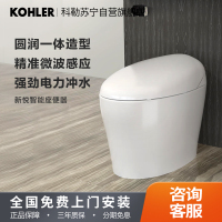 科勒智能马桶新悦一体感应座便器带遥控坐便器4026T