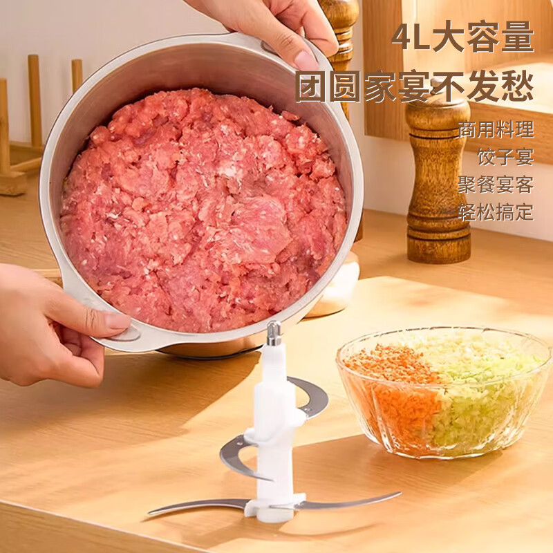 栢士德 绞肉机BSD-JR014高清大图