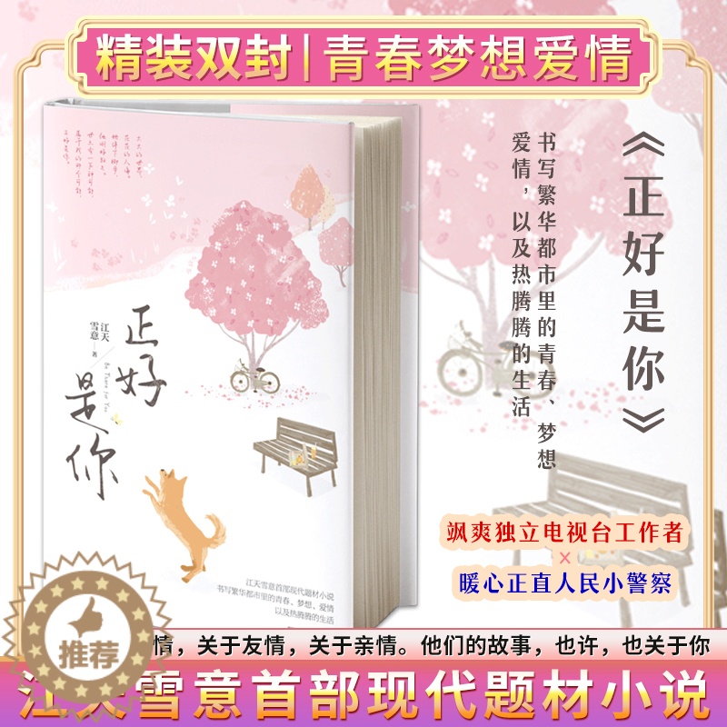 [醉染正版]正版精装丨正好是你 江天雪意现代题材小说电视台工作者×人民小警察 关于青春、梦想、爱情甜文小清新都市言情小说高清大图