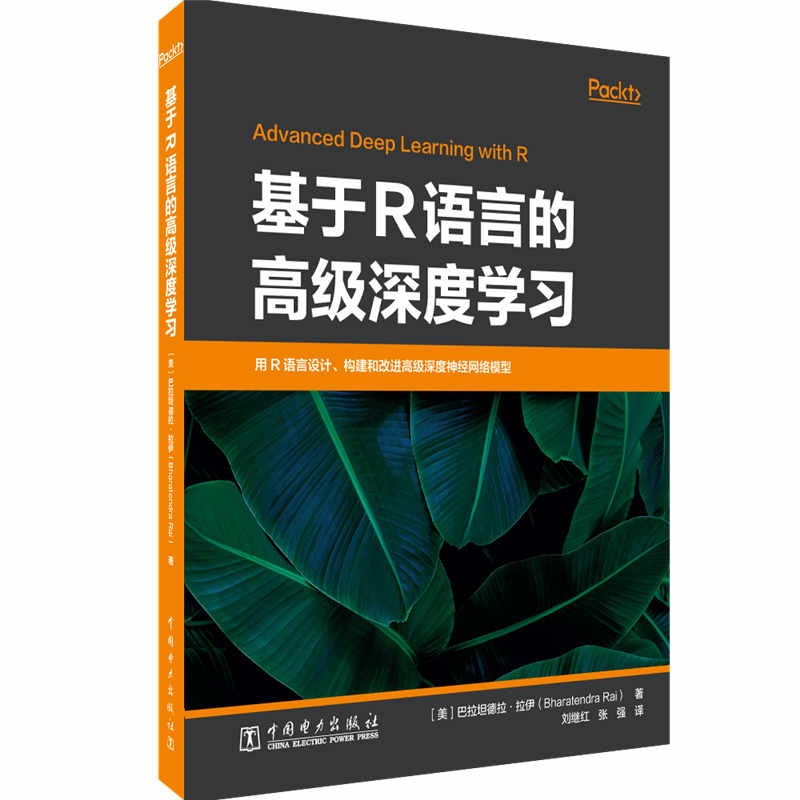 正版新书]基于R语言的高级深度学习(美)巴拉坦德拉·拉伊97875198高清大图