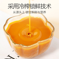 青源堂牌 内蒙沙棘原浆汁300ml*2果汁饮料无添加