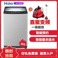 海尔（Haier）XQB90-BZ828 全自动洗衣机 波轮 直驱变频家用9公斤大容量神童海尔波轮洗衣机节能静音企业价