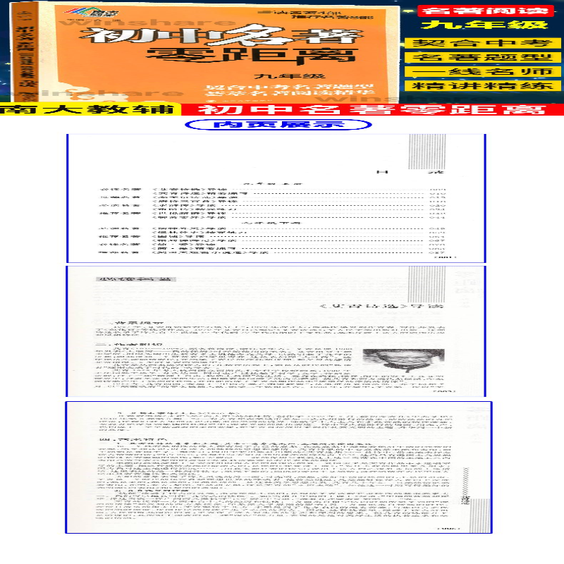 [M]初中名著零距离.9年级-9787305203206