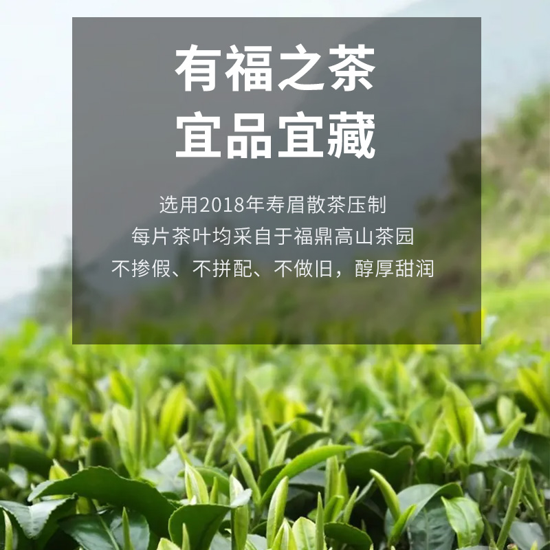 白茶350g/饼高清大图