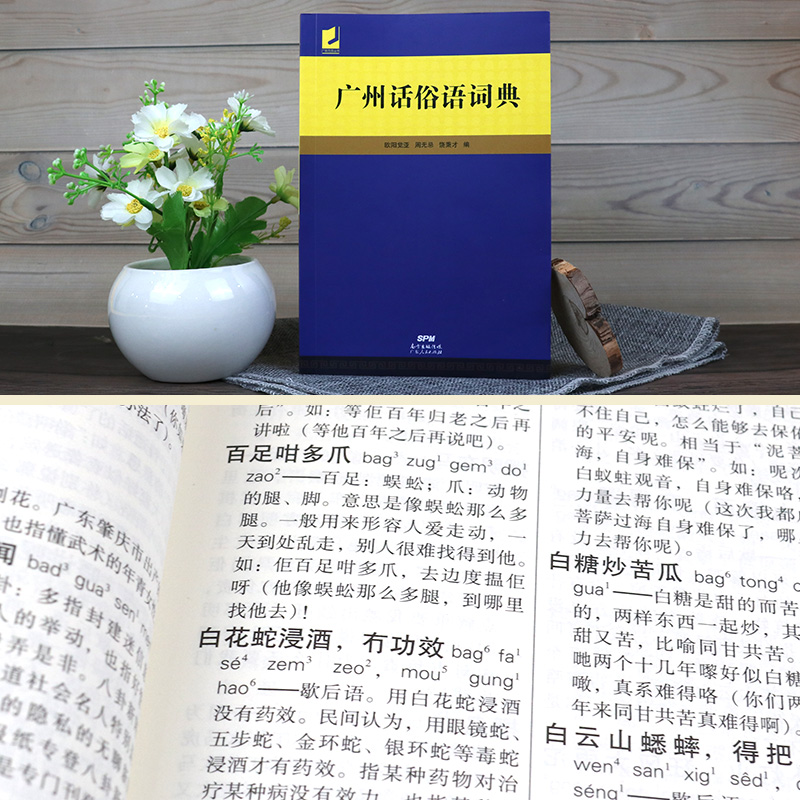 广州话俗语词典 [正版]广州话俗语词典 粤语广东话方言词典 广州话正音字典广东人民 白话广州话实用工具书 广州话正音字典高清大图