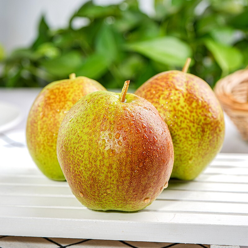鲜木 河北香梨 新梨7号梨子 时令新鲜水果 当季红香梨 脆甜梨子精选大