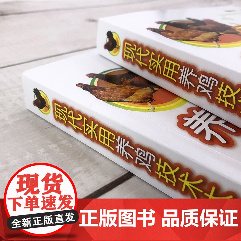 现代实用养鸡技术大全(第二版)养鸡技术手册 魏刚才主编9787122384119 图解养鸡技术手册高清大图