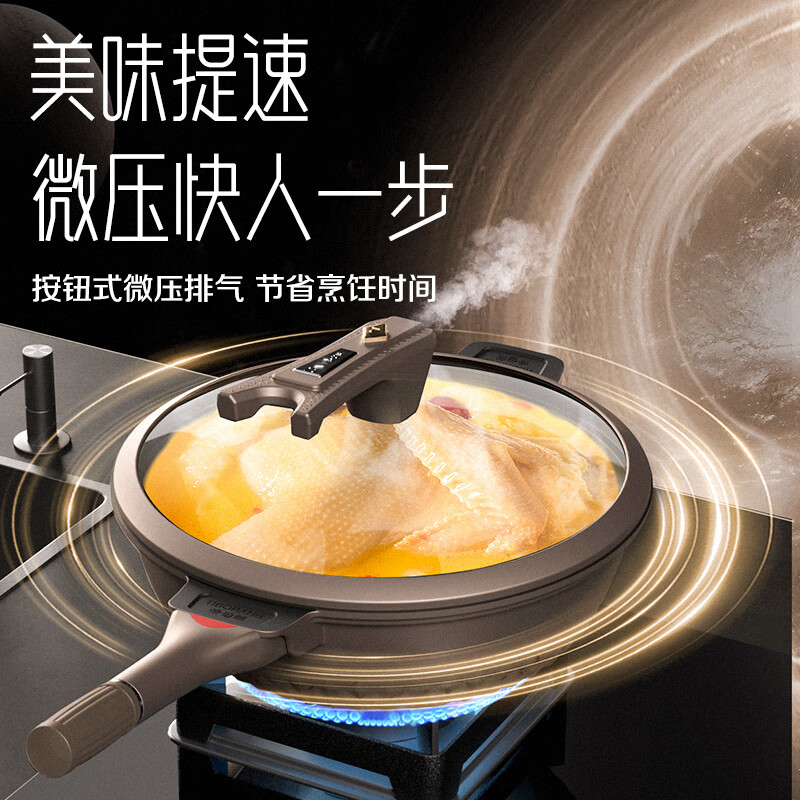 帝伯朗 菲尼克斯微压多用锅32cm高清大图