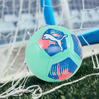 彪马（PUMA）足球新款青少年比赛实战训练户外休闲运动标准5号球儿童礼物 5 084214-13/单球