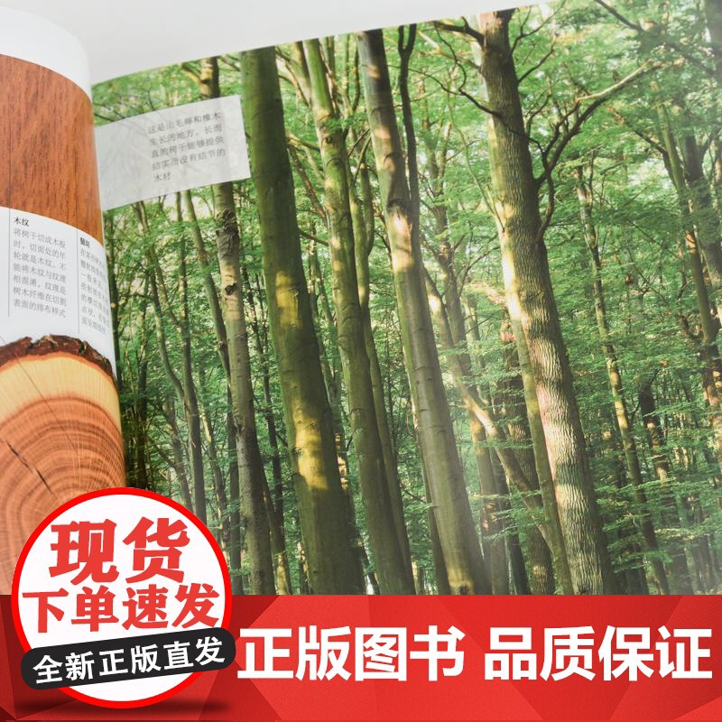 [店]木工入门书籍 木工入门完全手册 彩色图解版 木工家具制作新手自学教程指南全书 人民邮电出版社高清大图